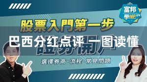 巴西分红点评 一图读懂