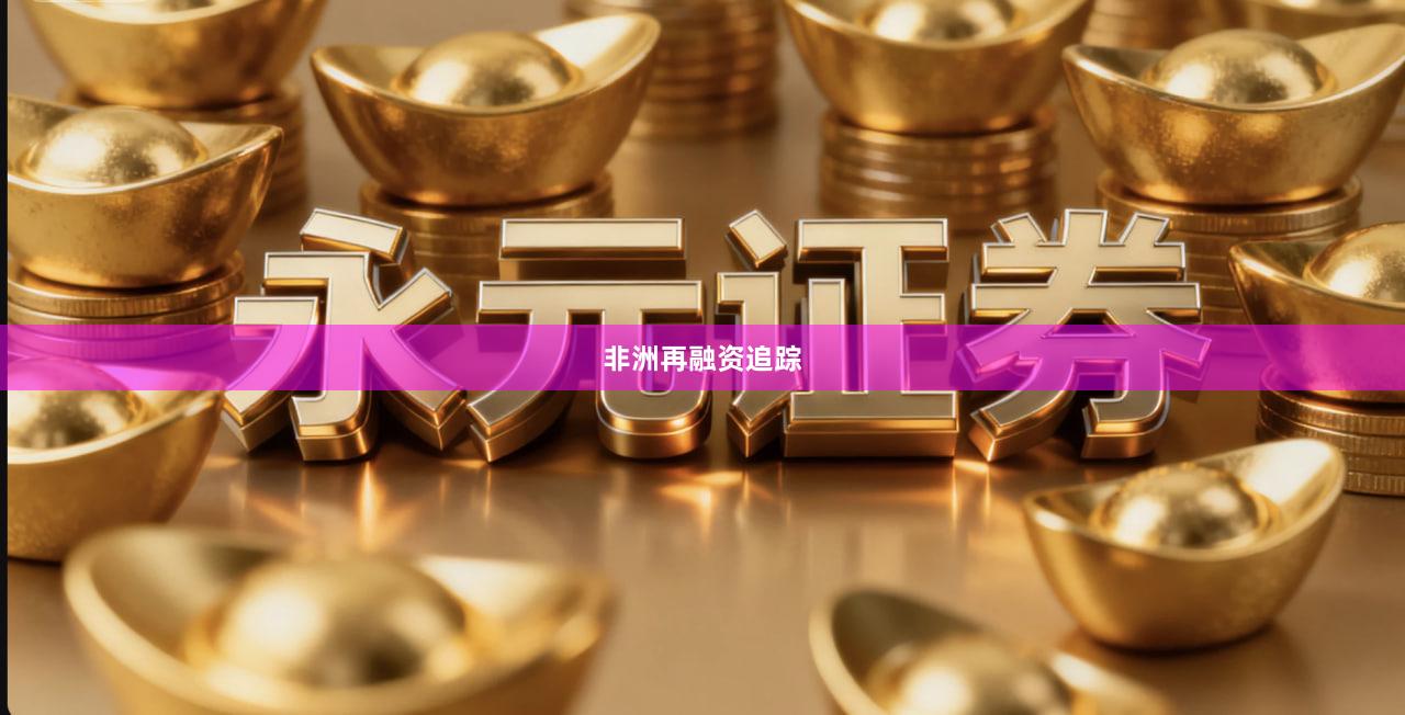 非洲再融资追踪